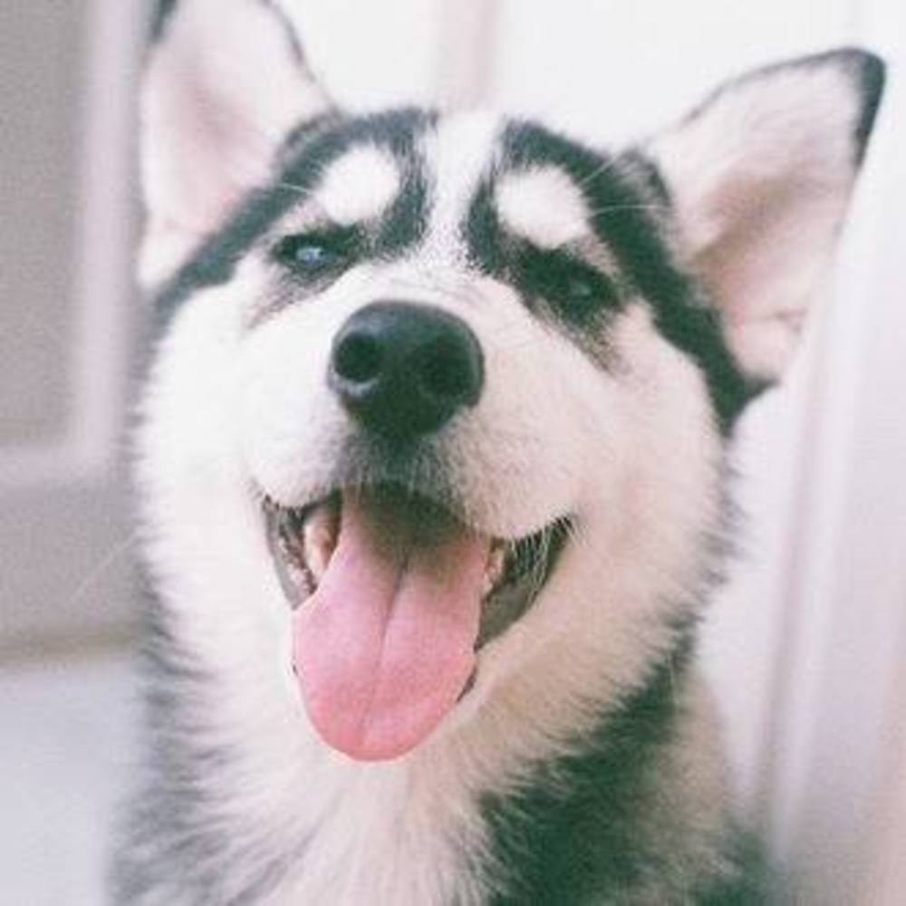 Meet your Posher, Flo